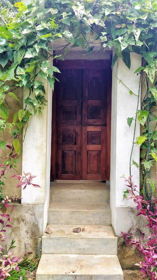 Sand Dollar House, Hiriketiya Dikwella Sur Exterior foto